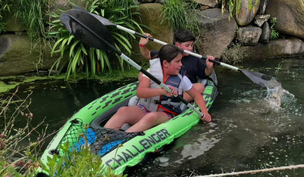 kayak